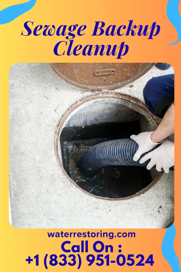 Sewage Backup Cleanup in Lewisberry, PA