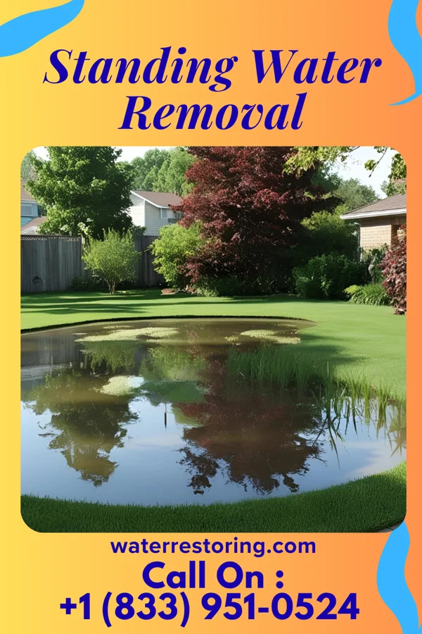 Standing Water Removal in Lewisberry, PA